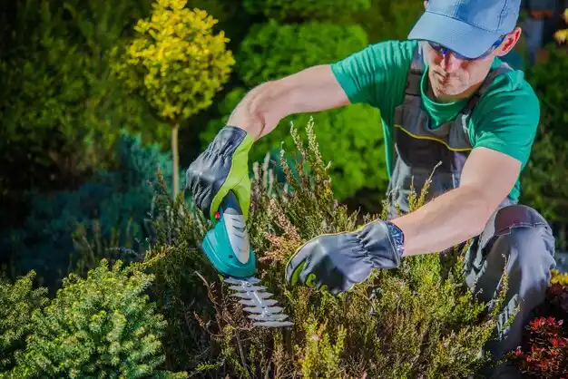 landscaping services Asharoken